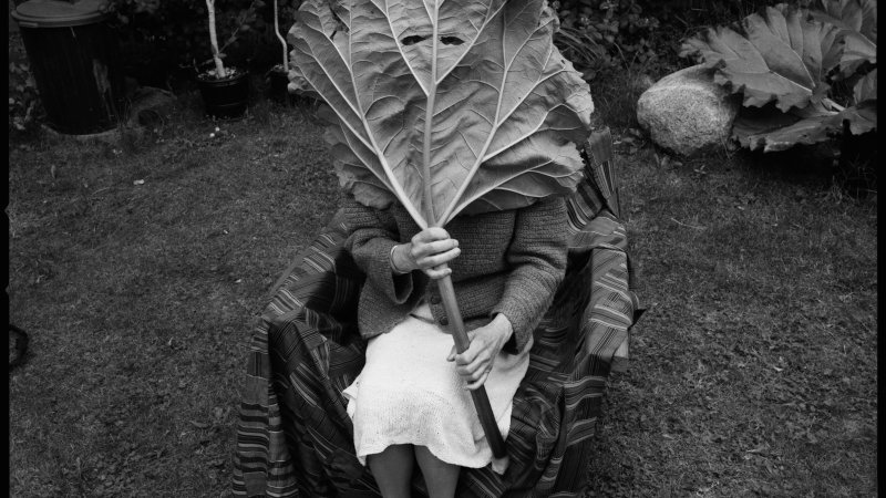 A black-and-white photograph of a person wearing a long-sleeved cardigan with a white skirt and heels with ankle straps. They hold a large leaf, a cruciferous leaf, that is covers their head, shoulders, and chest. There are cut-outs for the eyes.