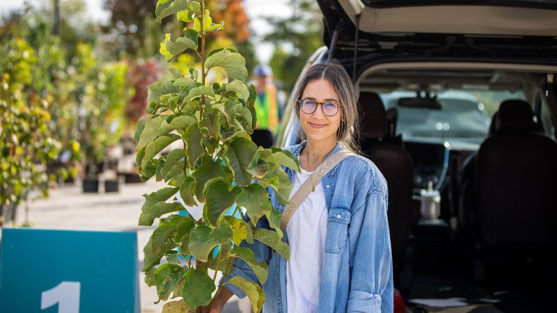 A smiling woman holding a tree stands in front of an open car trunk.