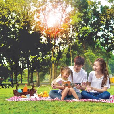 Family enjoying a picnic on a blanket in a park