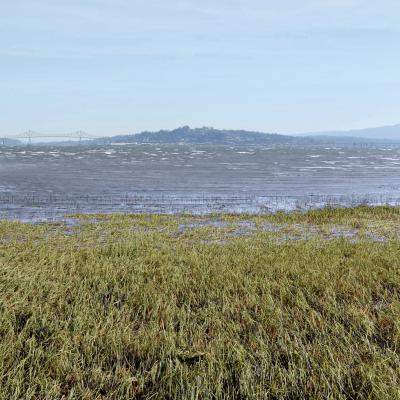 A photograph of grassy land meeting the Pacific Ocean with mountains in the distance.