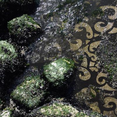 Image of rocks upon shoreline superimposed with curling geometric pattern