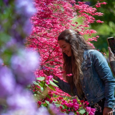 women admires a colourful garden while another woman takes her photo with a smartphone