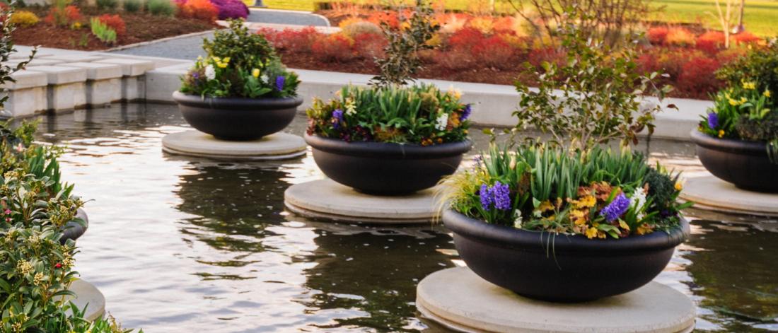Holland Garden planters in the water feature