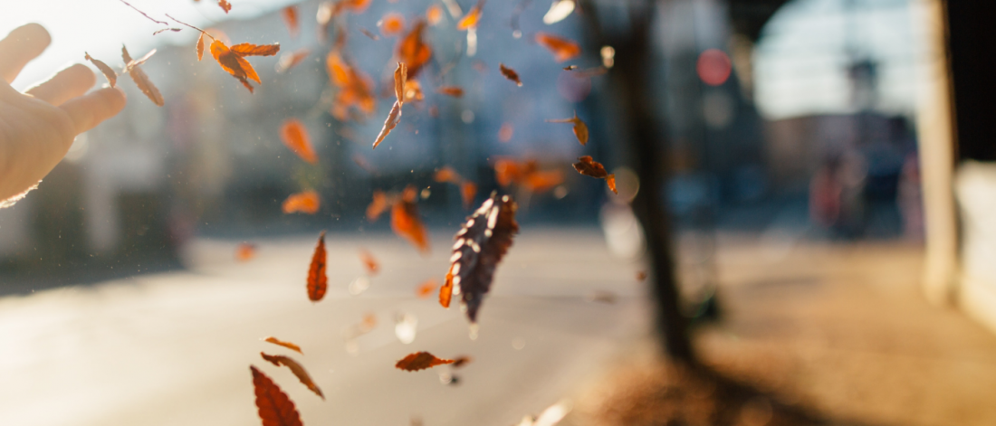 A left hand throws fall leaves on a sunny day