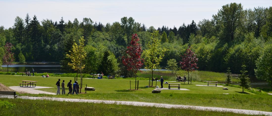 Picnic area with forest in the background