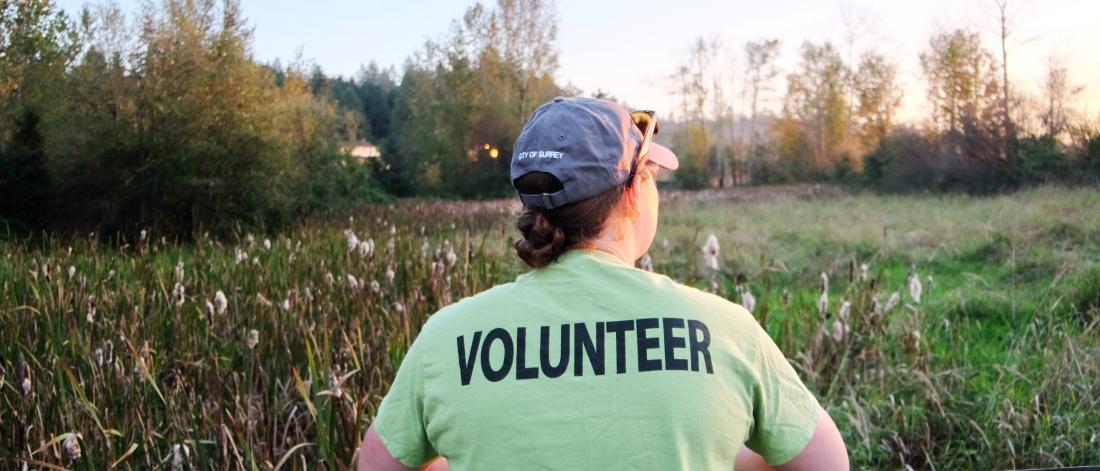 The back of a person wearing a green volunteer t-shirt outdoors