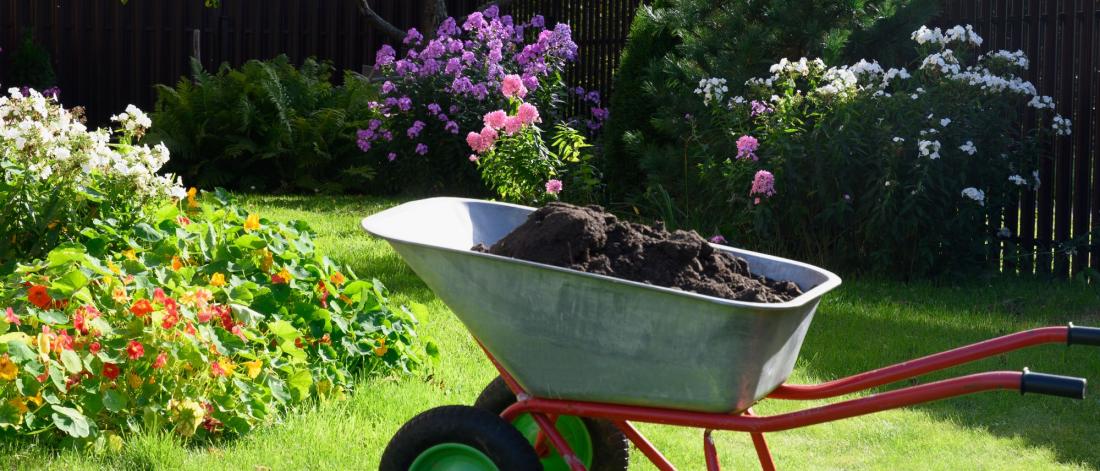 Compost in a wheelbarrow in a backyard
