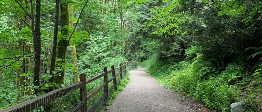 A gravel path with wooden fencing in a park of trees