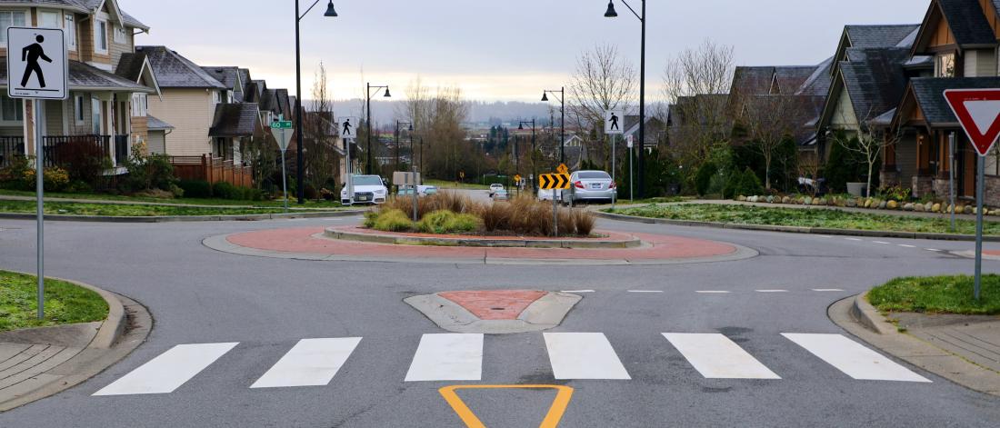traffic circle with plants in the middle