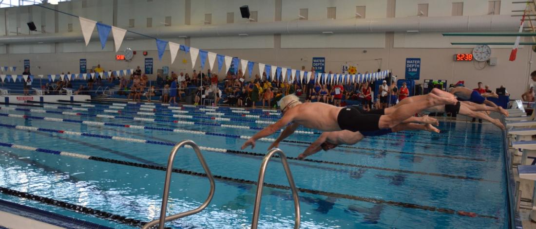 Several men dive into a pool in swimming competition