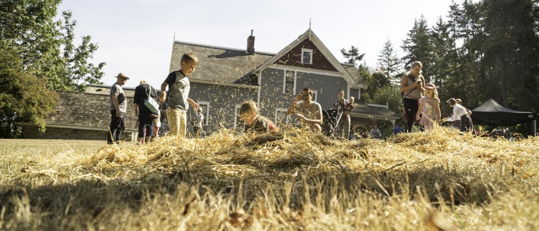 Children playing in hay