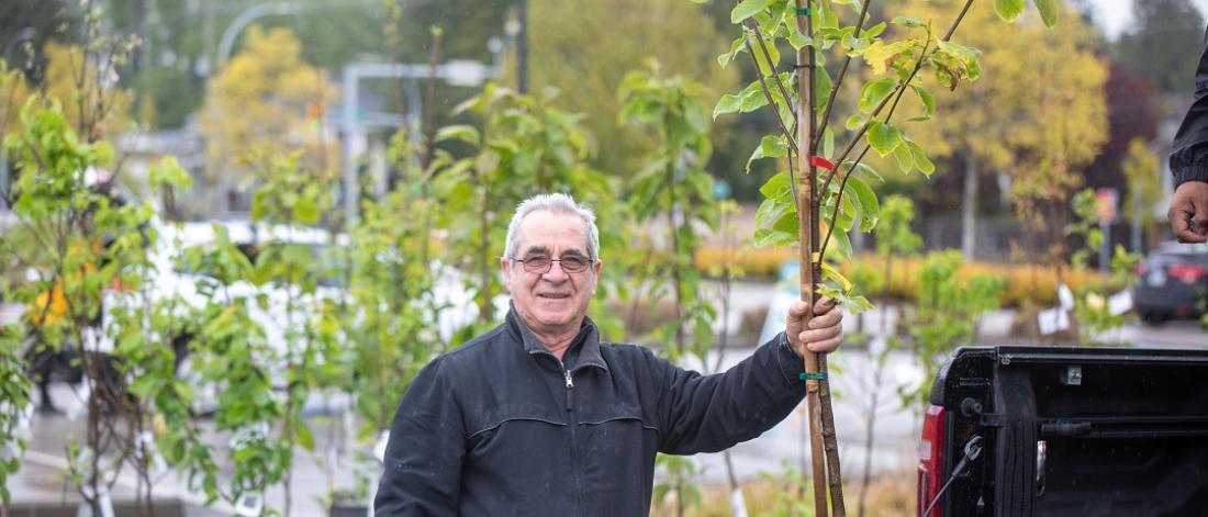 a man holds a tree at the tree sale