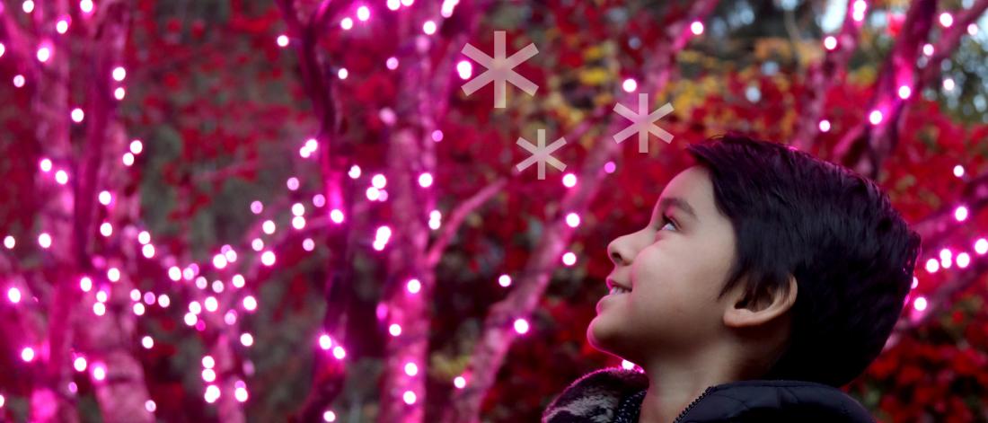 Child smiling at lights in tree