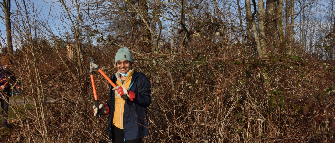 A volunteer holding loppers in front of a blackberry berm.