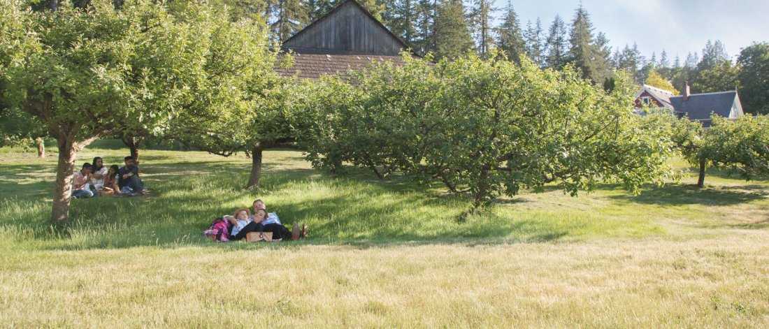 two families having picnics in an orchard