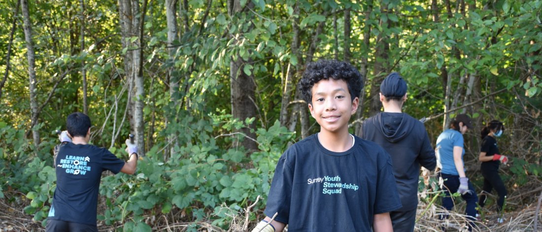 youth volunteers removing invasive Himalayan blackberry plants from a forest