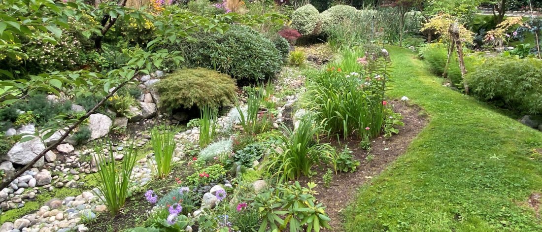 a garden showcasing diverse plants