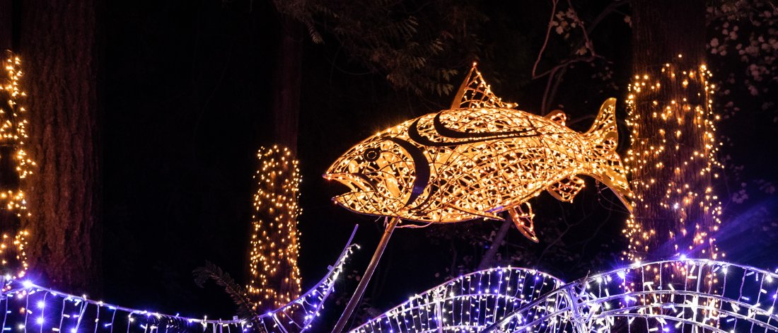 light display for a fish and waves