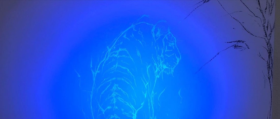 A lowing orb of blue light shows the white outline of a tiger. The tiger faces away from us, we can see its back and its noble head in profile.