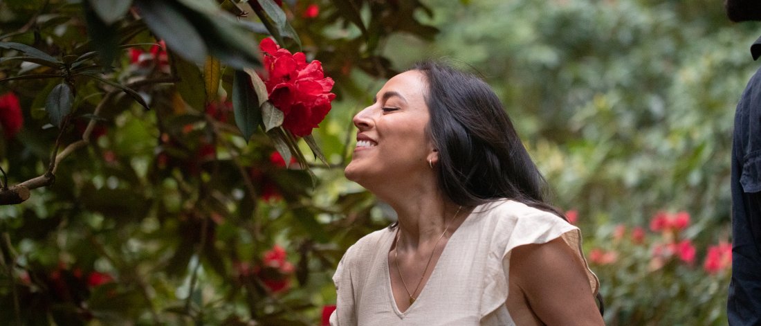A person smelling red flowers.
