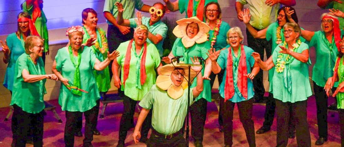 A choir dressed in costumes performing on stage.