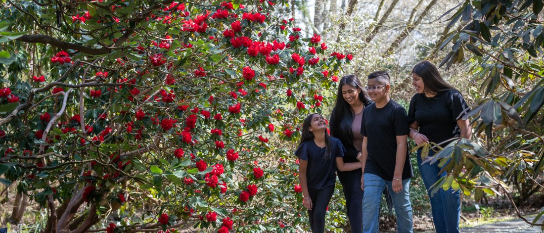 family walks along gravel trail beside plant with red flowers