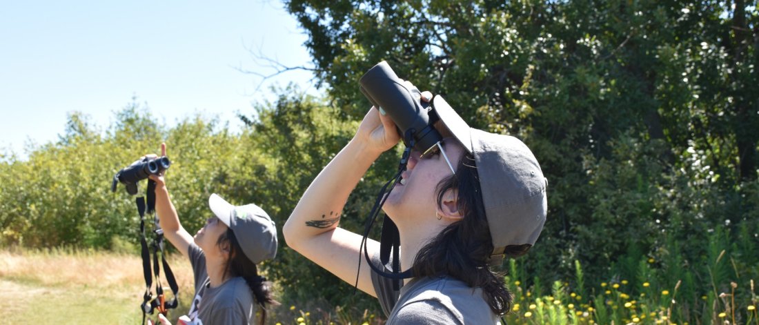  Two individuals birdwatching in a sunny field, using binoculars and a camera.
