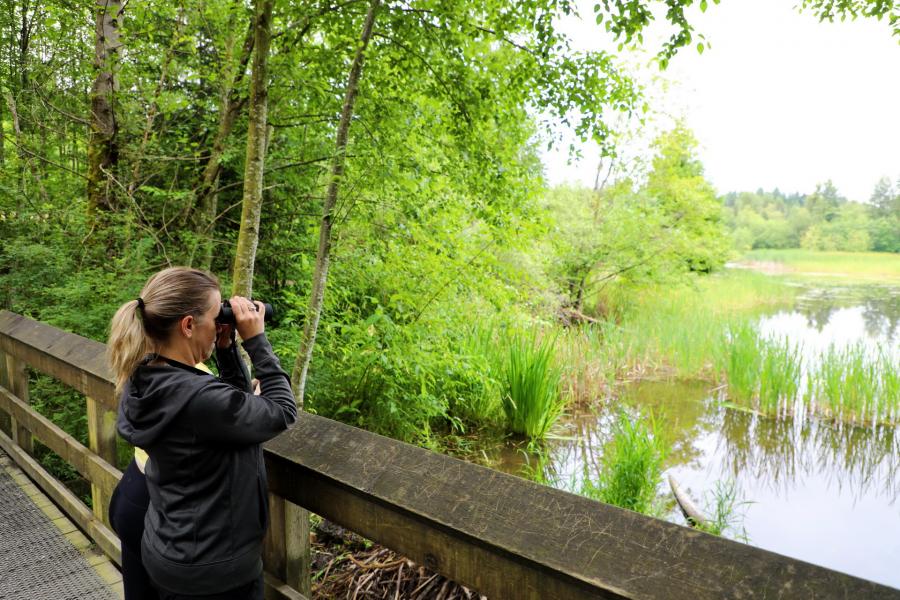 Woman Bird Watching at Green Timbers Urban Forest