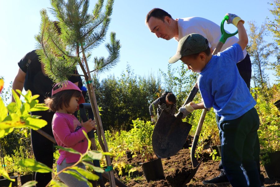 National Tree Day planting Newton Pond Park as part of Citys Releaf Tree Planting Program