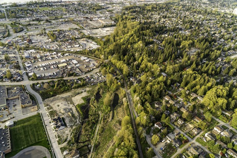 Aerial shot with trees and city