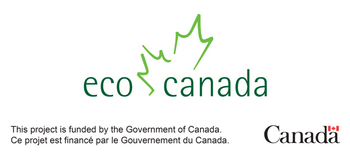 Eco Canada Logo, Government of Canada 