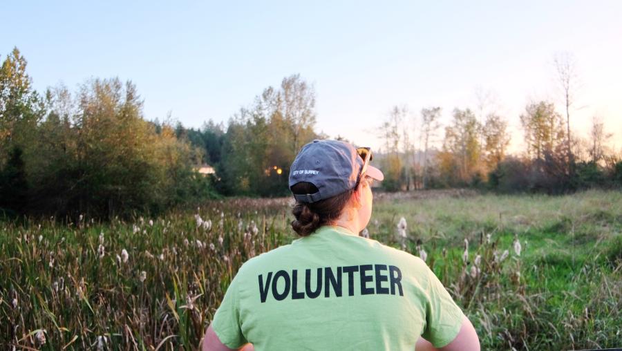 The back of a person wearing a green volunteer t-shirt outdoors