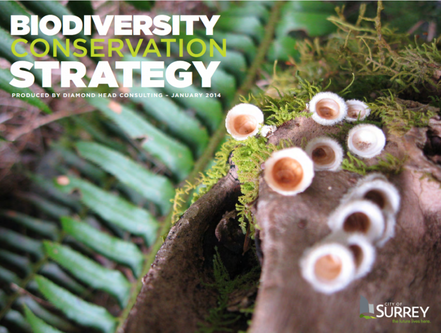 Biodiversity Strategy cover art