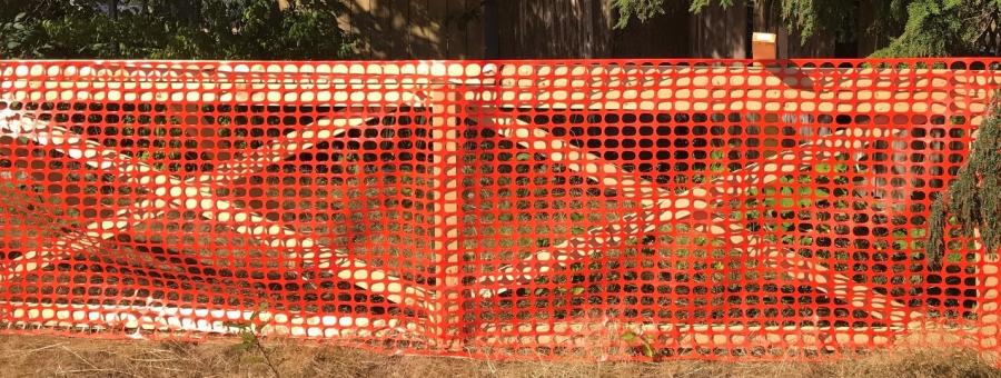tree protection barrier built with 2X4s and orange mesh 
