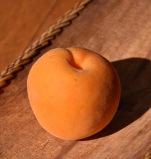 Apricot.