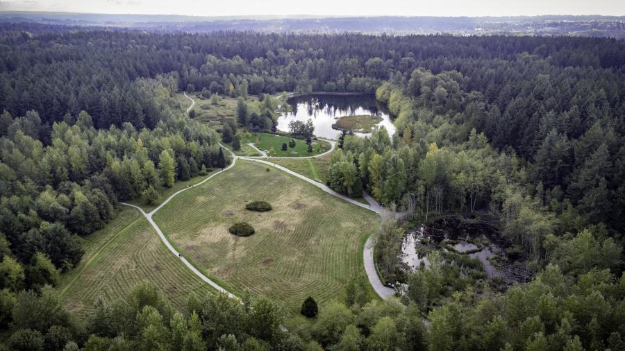 Aerial shot of Green Timbers Urban Forest Park.