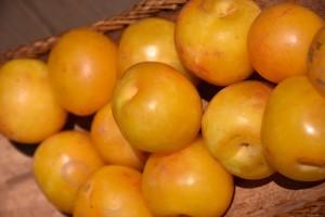 Yellow plums.