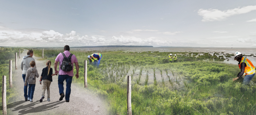 Rendering of a family on trail near living dyke project with staff adding more marsh