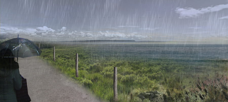 Rendering of living dyke reducing impact of waves on coast during an extreme storm event