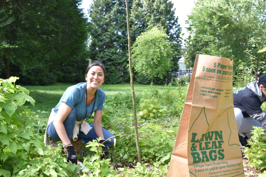 A smiling person kneeling and removing blackberry bushes in a park.