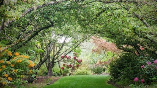 A garden with trees and flowers.