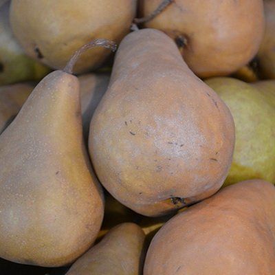 brown pears