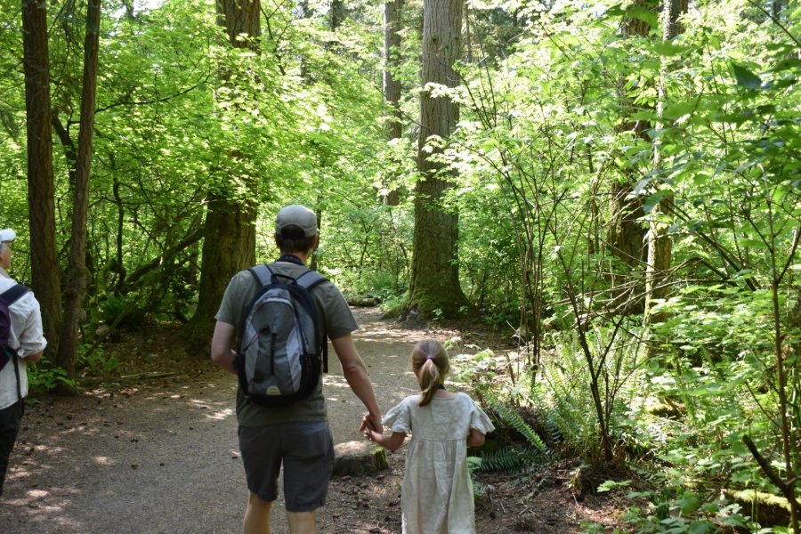  A man and a young girl, holding hands, walk down a forest trail together.