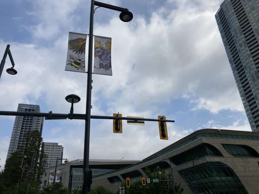 City Parkway Banners
